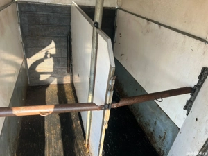 Remorca Transport animale - imagine 6