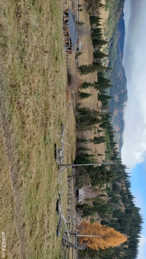 Vând teren intravilan in comuna Panaci, sat Coverca - imagine 3