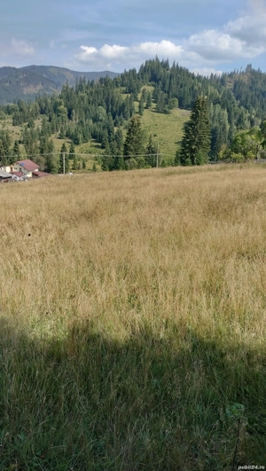 Vând teren intravilan in comuna Panaci, sat Coverca - imagine 5