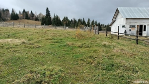 Vând teren intravilan in comuna Panaci, sat Coverca - imagine 4