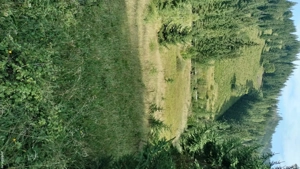 Vând teren intravilan in comuna Panaci, sat Coverca - imagine 2