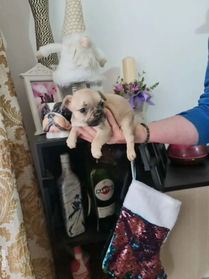 cautam casuta - imagine 5