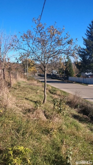 Vand teren de casa, intravilan, utilitati la poarta