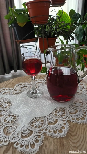 Vin de vânzare  - imagine 3