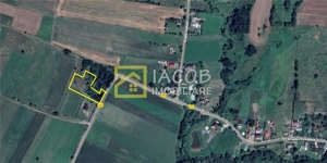 Teren intravilan, sat Petricica, comuna Strugari, Bacau - imagine 2