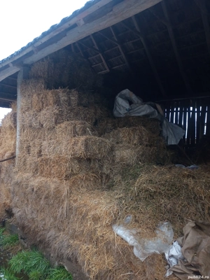 vind baloți de paie 