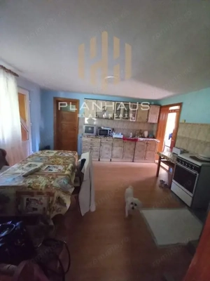 Casă Rohia ,ideală locuit sau pensiune ,zona turistică,45 ari  - imagine 9