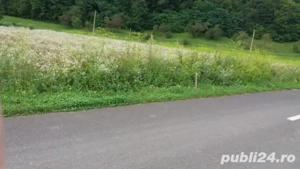 Teren intravilan de vanzare 5735 mp Ribita - imagine 7