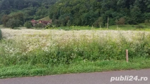 Teren intravilan de vanzare 5735 mp Ribita - imagine 5