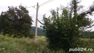 Teren intravilan de vanzare 5735 mp Ribita - imagine 6