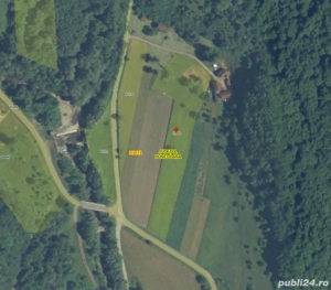 Teren intravilan de vanzare 5735 mp Ribita - imagine 4