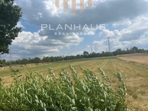 Teren extravilan Vrancei ,Baia Mare,Satu Nou de Sus  3600 mp