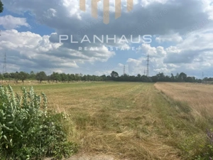 Teren extravilan Vrancei ,Baia Mare,Satu Nou de Sus  3600 mp - imagine 3