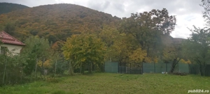 Vând teren intravilan în Valea Doftanei