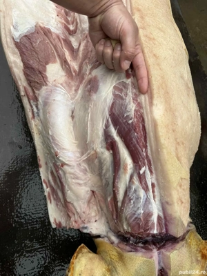 Vand carcasa de porc  - imagine 2
