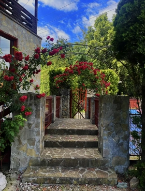 [DE VÂNZARE] Proprietate de Excepție cu Vedere Panoramică, Câmpulung Muscel (Argeș)