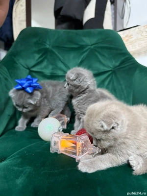 British scottish  - imagine 5