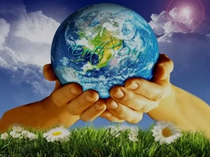 Teren intravilan 1000 mp cu cabana ingradit utilitati PUZ livada pomi fructiferi