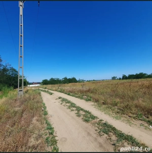 vand teren intravilan Malu Mare 1500 mp - strada Salcamilor