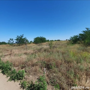 vand teren intravilan Malu Mare 1500 mp - strada Salcamilor - imagine 7