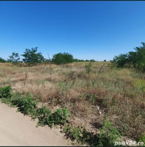 vand teren intravilan Malu Mare 1500 mp - strada Salcamilor - imagine 8