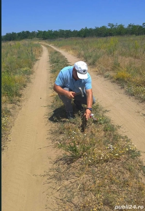 vand teren intravilan Malu Mare 1500 mp - strada Salcamilor - imagine 9