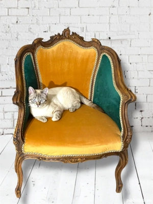 Fotoliu restaurat Barochetto Cabriolet