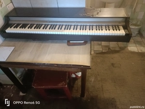 instrumente muzicale  - imagine 2