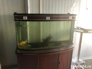 Vand Acvariu cu dulap si accesorii