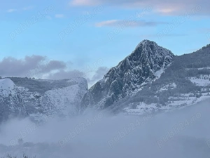 CABANA ZOUK SPA de închiriat. Paradis sub padure - imagine 7