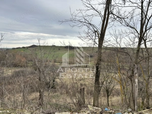 Teren 1942 mp, ideal casa de vacanta, alte activitati, Herneacova. - imagine 2