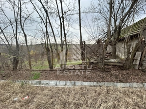 Teren 1942 mp, ideal casa de vacanta, alte activitati, Herneacova. - imagine 3