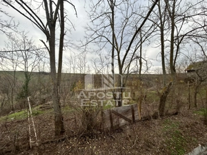 Teren 1942 mp, ideal casa de vacanta, alte activitati, Herneacova. - imagine 4