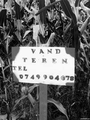 teren intravilan  - imagine 3