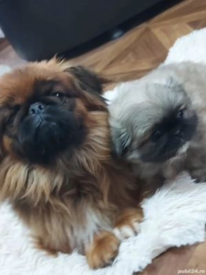 băiețel mic și frumos cu primul vaccin facut si carnet de sănătate - imagine 3