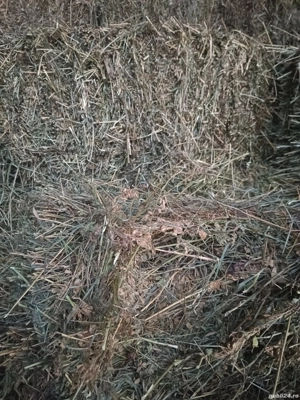 Baloți de otavă și fân neploati - imagine 2