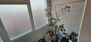 Tomis Plus, Bloc nou cu lift , etaj 2