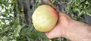 Citroen c.crosser 7 locuri 