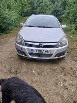 vind sau schimb cu albine ,oi. - imagine 2