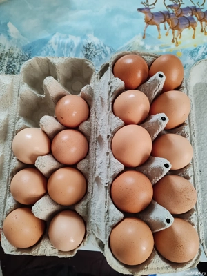 Ouă de țară de vânzare 