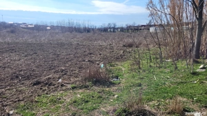 lot 500 m corbu intravilan  - imagine 3