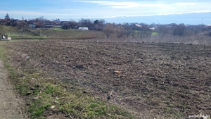 lot 500 m corbu intravilan  - imagine 2