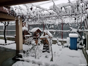 casa de vânzare sec 5 șosea Giurgiului -Luica-Zerari - imagine 4