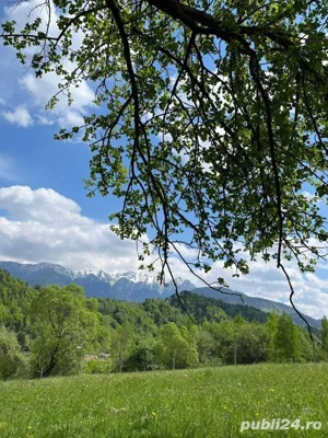 PROPRIETAR - 3274 mp intravilan Simon (BRAN) - imagine 5