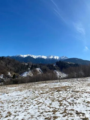 PROPRIETAR - 3274 mp intravilan Simon (BRAN) - imagine 2