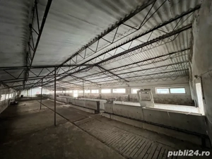 Hale spatiu comercial teren - imagine 3