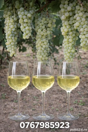  VIN NOHAN de vânzare