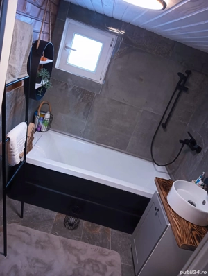 Vand cabana Arieseni - zona centrala - imagine 5