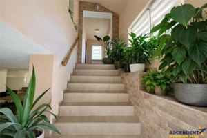 FILM Tur 3D! Casa eleganta,curte amenajata, garaj, Brancovenesti, Mures - imagine 9