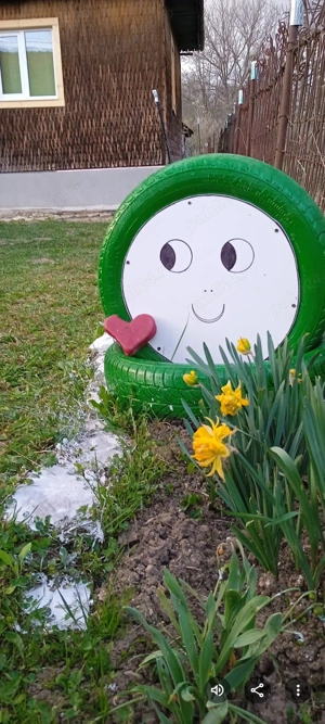 Vând casa cu mansarda și livada cu meri la poalele muntelui Leaota  - imagine 8